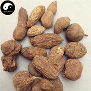 Jin Guo Lan 金果欖, Arrowshaped Tinospora Root, Radix Tinosporae, Di Ku Dan-Health Wisdom™