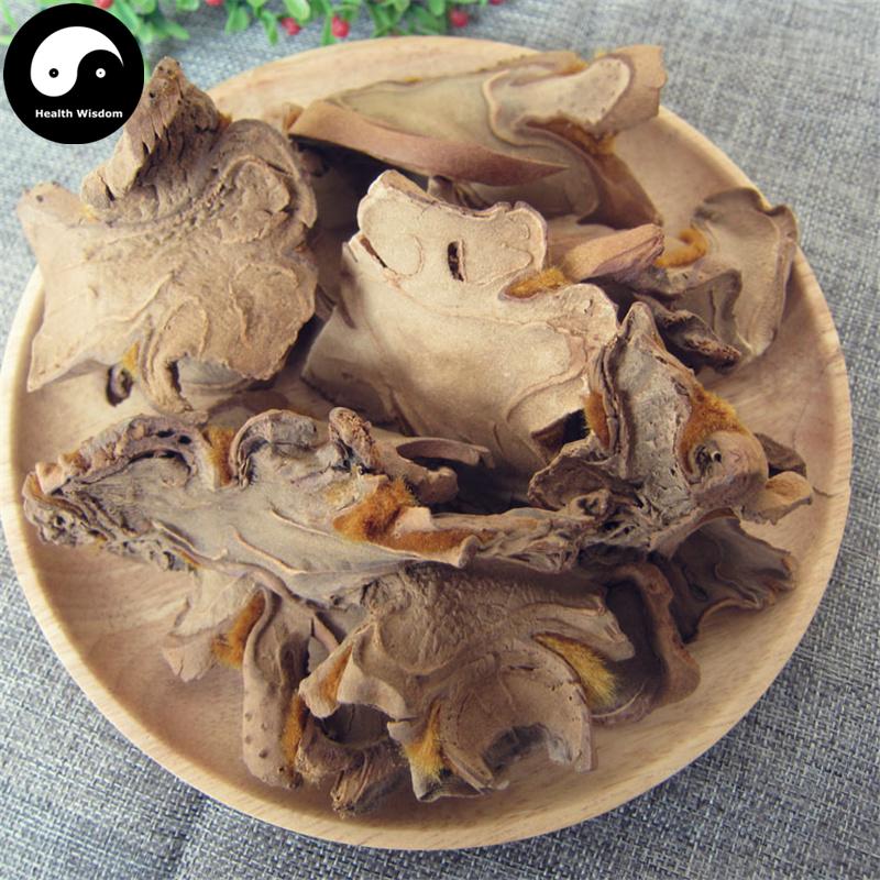 Jin Mao Gou Ji 金毛狗脊, Rhizoma Cibotii, Cibotium Barometz Root, Gou Ji-Health Wisdom™