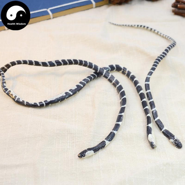 Jin Qian Bai Hua She 金钱白花蛇, Bungarus Multicinctus, Dried Herbal Snake