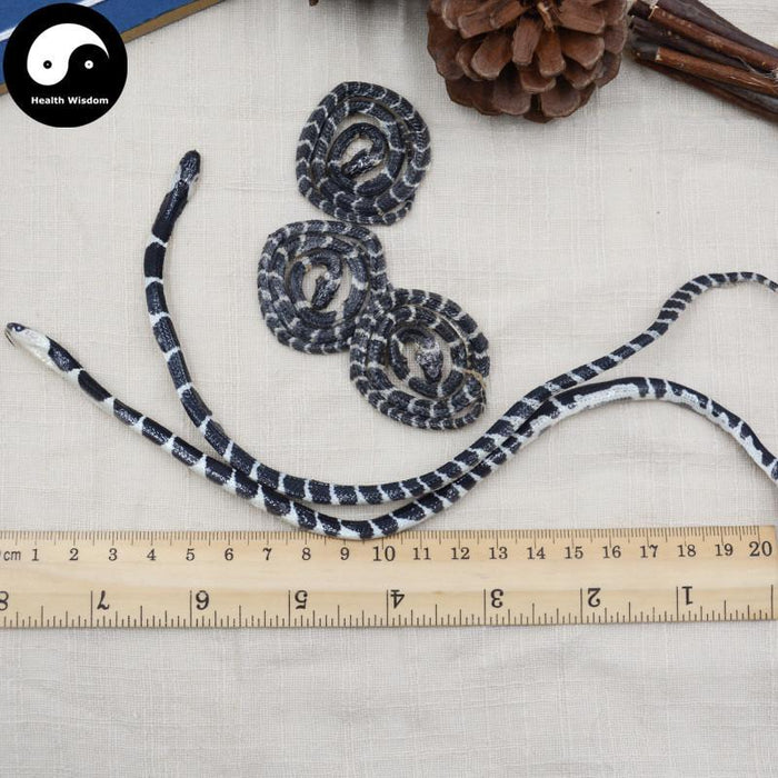 Jin Qian Bai Hua She 金钱白花蛇, Bungarus Multicinctus, Dried Herbal Snake