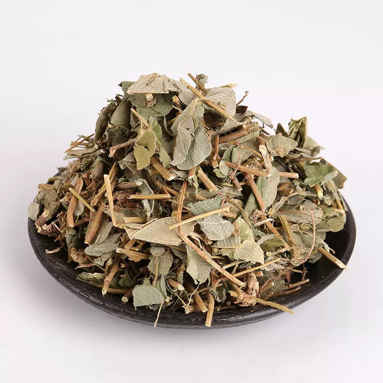Jin Qian Cao 金钱草, Lysimachiae Herba, Lysimachia christinae Hance-Health Wisdom™