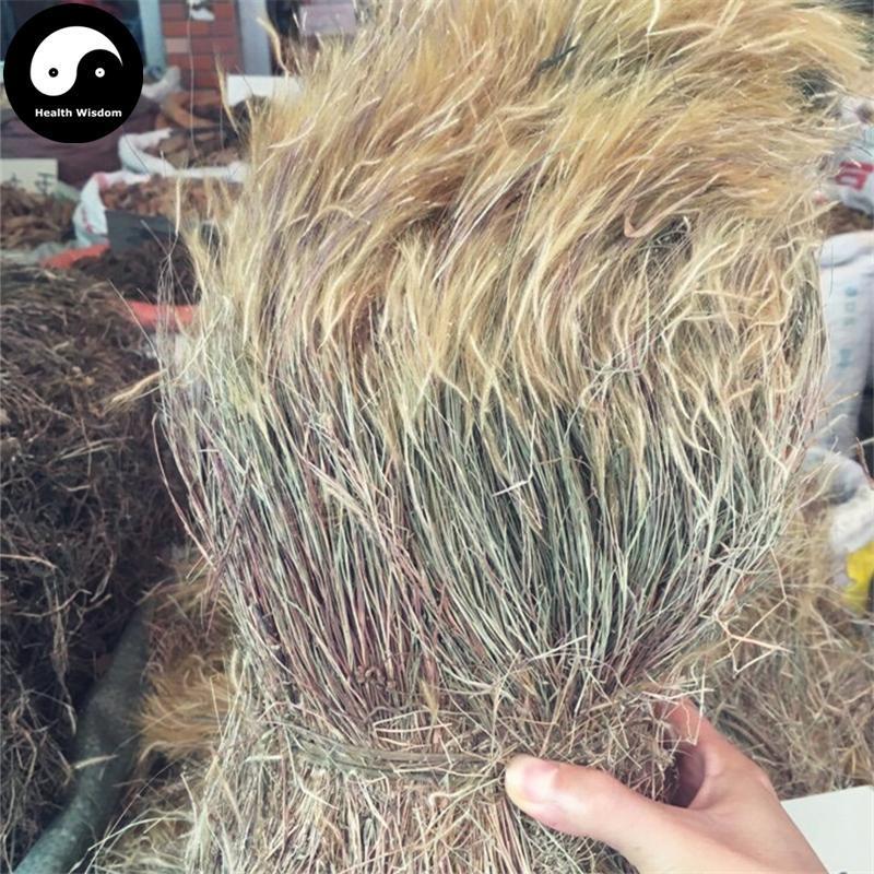 Jin Si Cao 金丝草, Herba Pogonatherum Crinitum, Luo Su, Huang Mao Cao-Health Wisdom™