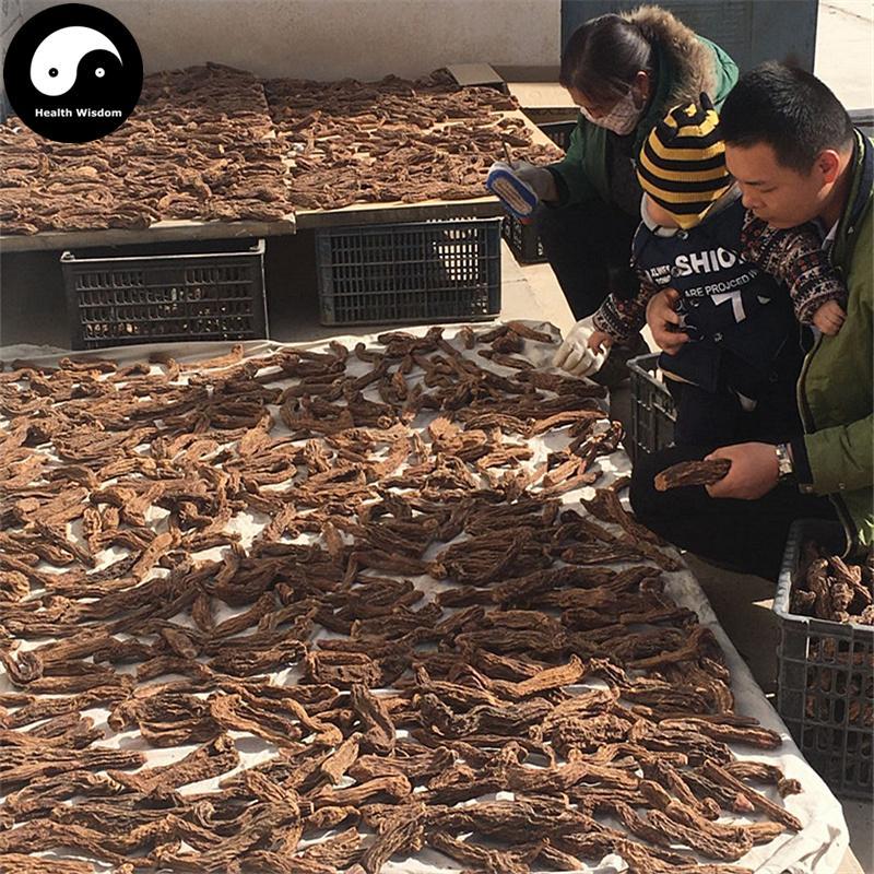 Jin Suo Yang 金鎖陽, Herba Cynomorii, Songaria Cynomorium Herb-Health Wisdom™