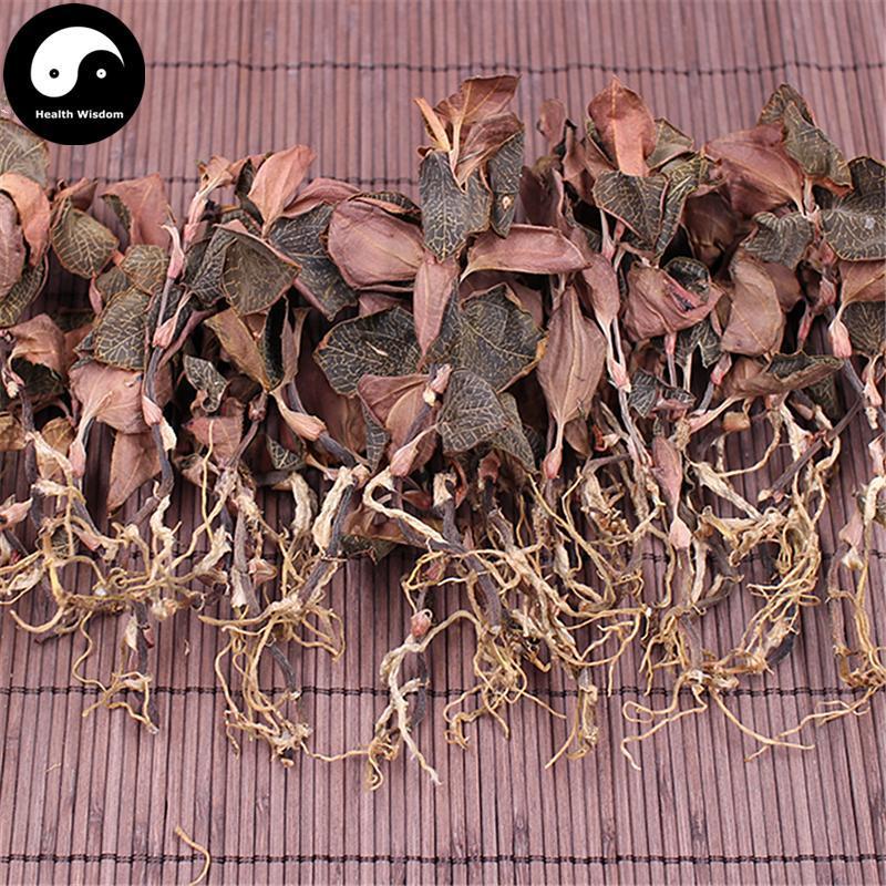 Jin Xian Lian 金线莲, Herba Anoectochilus Roxburghii, Jin Xian Lan-Health Wisdom™