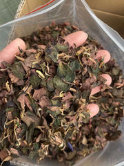 Jin Xian Lian Ye 金线莲叶, Herba Anoectochilus Roxburghii Leaf, Jin Xian Lan Leaves Tea-Health Wisdom™