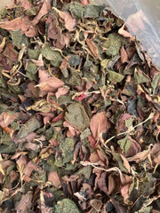 Jin Xian Lian Ye 金线莲叶, Herba Anoectochilus Roxburghii Leaf, Jin Xian Lan Leaves Tea-Health Wisdom™