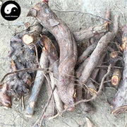 Jin Ying Zi Gen 金櫻子根, Cherokee Rose Root, Radix Rosa Laevigata-Health Wisdom™
