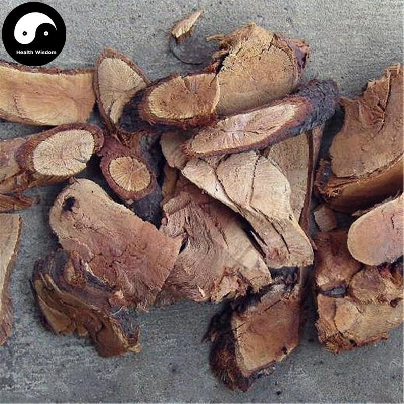 Jin Ying Zi Gen 金櫻子根, Cherokee Rose Root, Radix Rosa Laevigata-Health Wisdom™