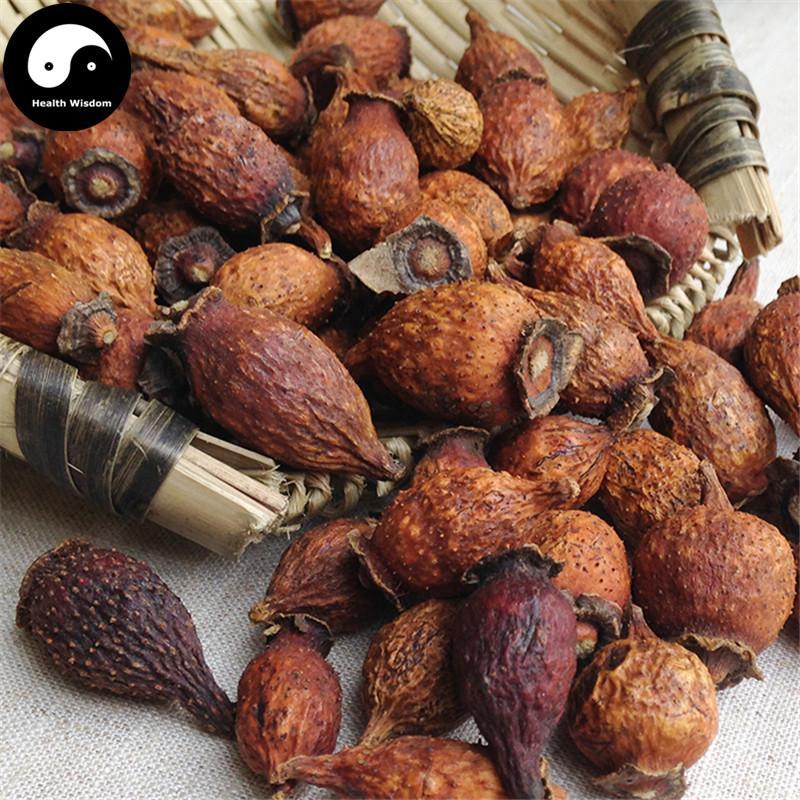 Jin Ying Zi 金櫻子, Fructus Rosae Laevigatae, Cherokee Rose Fruit Tea-Health Wisdom™
