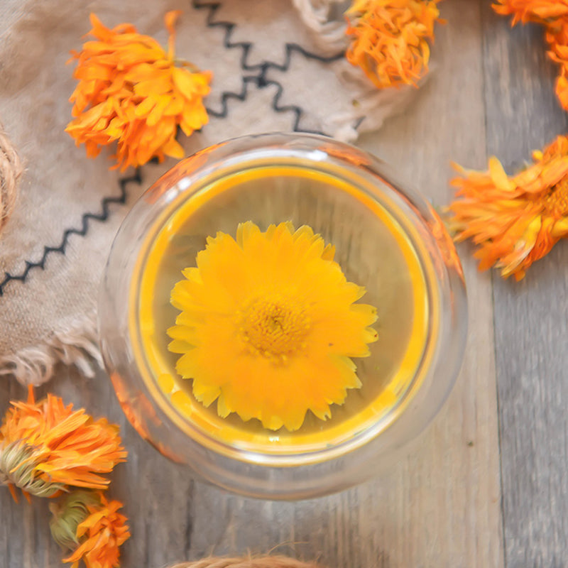 Jin Zhan Ju Hua 金盏菊花, Flos Calendula Officinalis, Chrysanthemum Flower-Health Wisdom™