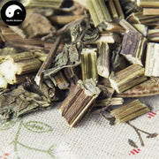 Jin Zhan Yin Pan 金盏银盘, Herba Bidens Biternata, Gui Zhen Cao-Health Wisdom™