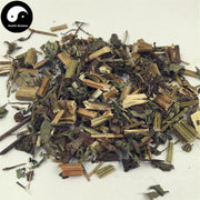 Jin Zhan Yin Pan 金盏银盘, Herba Bidens Biternata, Gui Zhen Cao-Health Wisdom™