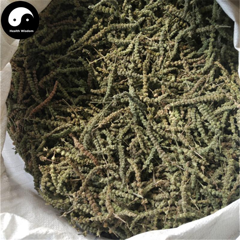 Jing Jie Sui 荊芥穗, Herba Schizonepetae Fineleaf, Schizonepeta Herb, Jie Sui-Health Wisdom™