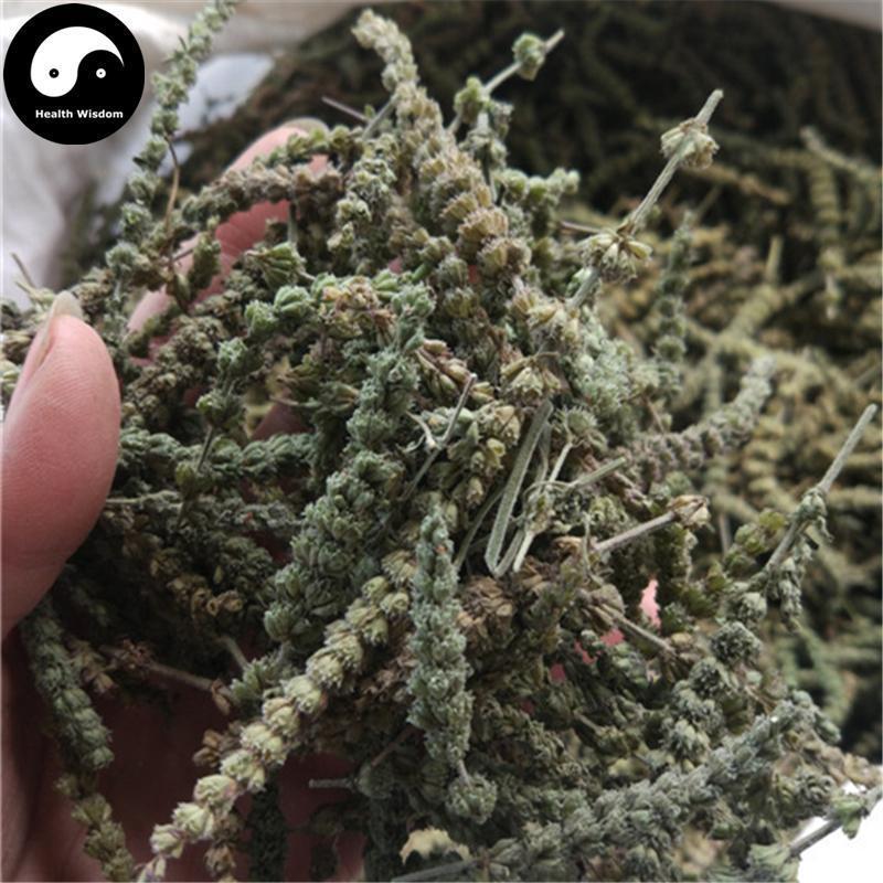 Jing Jie Sui 荊芥穗, Herba Schizonepetae Fineleaf, Schizonepeta Herb, Jie Sui-Health Wisdom™