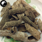Jiu Bi Ying 救必應, Cortex Ilicis Rotundae, Ovateleaf Holly Bark, Bai Yin Shu Pi-Health Wisdom™