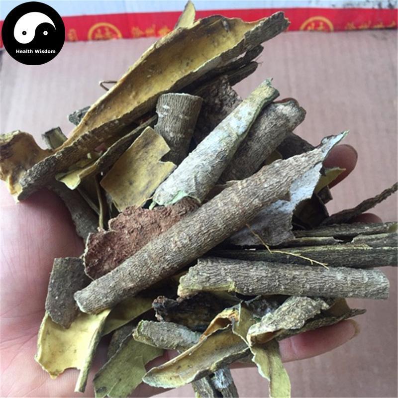 Jiu Bi Ying 救必應, Cortex Ilicis Rotundae, Ovateleaf Holly Bark, Bai Yin Shu Pi-Health Wisdom™