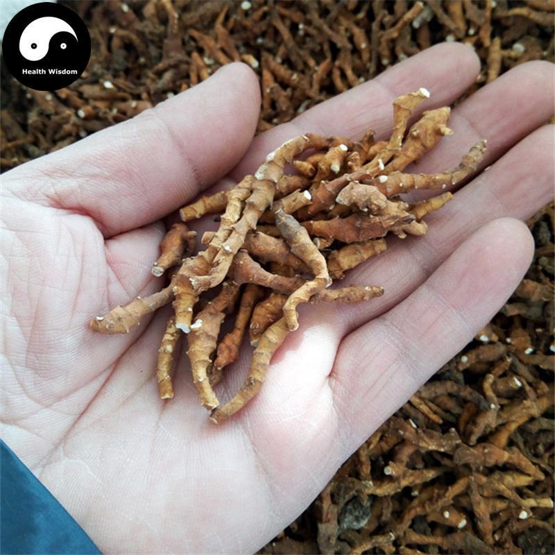 Jiu Jie Chang Pu 九節菖蒲, Altai Anemone Root, Irkutsk Anemone Rhizome, Rhizoma Anemones Altaicae-Health Wisdom™