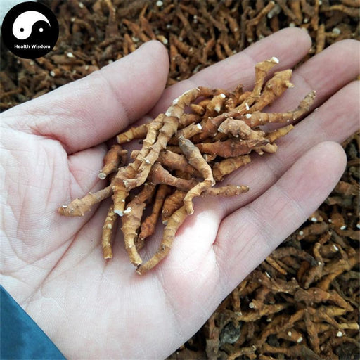 Jiu Jie Chang Pu 九節菖蒲, Altai Anemone Root, Irkutsk Anemone Rhizome, Rhizoma Anemones Altaicae-Health Wisdom™