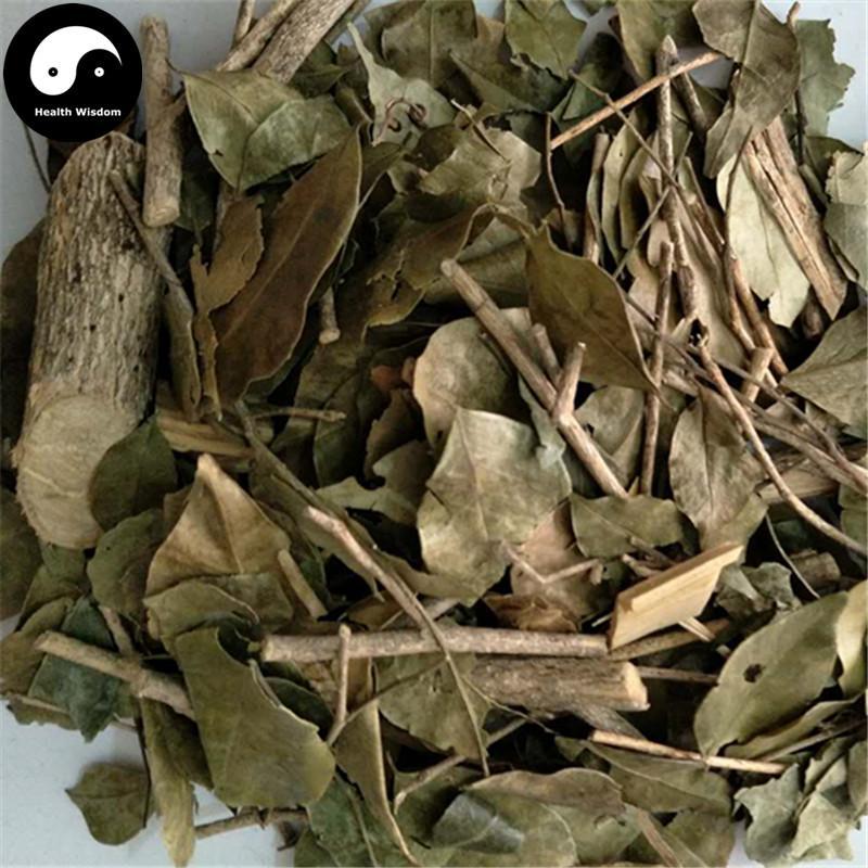 Jiu Li Xiang 九裏香, Common Jasminorange Leaf and Twig, Folium et Cacumen Murrayae-Health Wisdom™