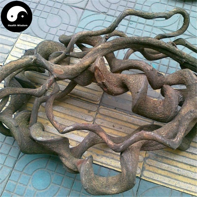 Jiu Long Teng 九龍藤, Bauhinia Championii, Guo Gang Long, Long Xu Teng-Health Wisdom™