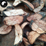 Jiu Long Teng 九龍藤, Bauhinia Championii, Guo Gang Long, Long Xu Teng-Health Wisdom™