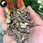 Jiu Niu Zao 九牛造, Euphorbia Root, Radix Euphorbia-Health Wisdom™