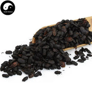 Jiu Xiang Chong 九香虫, Aspongopus, Stink-Bug-Health Wisdom™