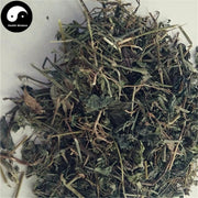 Jiu Zi Lian Huan Cao 九子连环草, Herba Calanthe Discolor, Jiu Jie Chong-Health Wisdom™