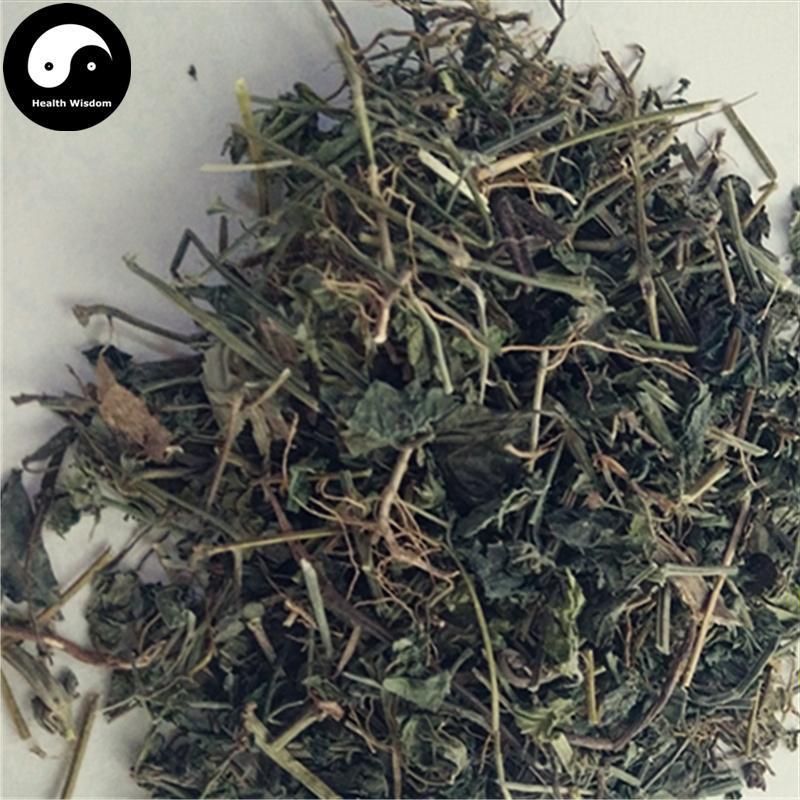 Jiu Zi Lian Huan Cao 九子连环草, Herba Calanthe Discolor, Jiu Jie Chong-Health Wisdom™