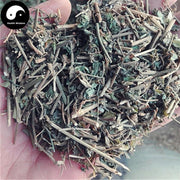 Jiu Zi Lian Huan Cao 九子连环草, Herba Calanthe Discolor, Jiu Jie Chong-Health Wisdom™