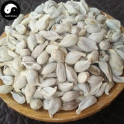 Ju He 橘核, Semen Citri Reticulatae, Tangerine Seed-Health Wisdom™