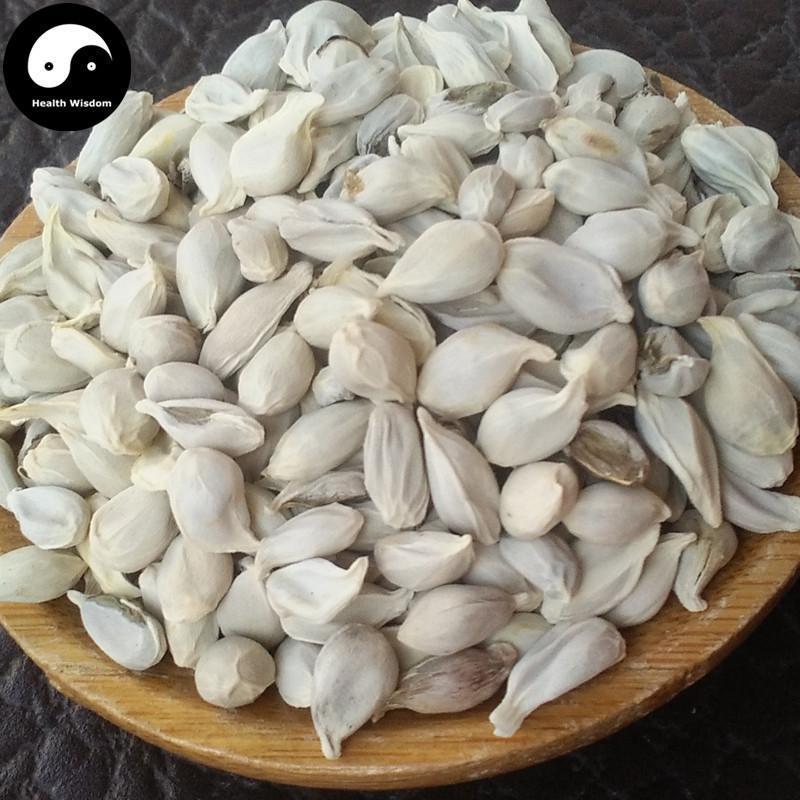 Ju He 橘核, Semen Citri Reticulatae, Tangerine Seed-Health Wisdom™