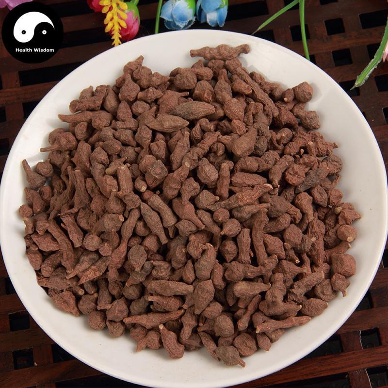 Jue Ma 蕨麻, Potentilla Anserina, Ren Shen Guo-Health Wisdom™
