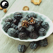 Jun Qian Zi 君迁子, Hei Zao, Diospyros, Ruan Zao, Ye Shi Zi-Health Wisdom™