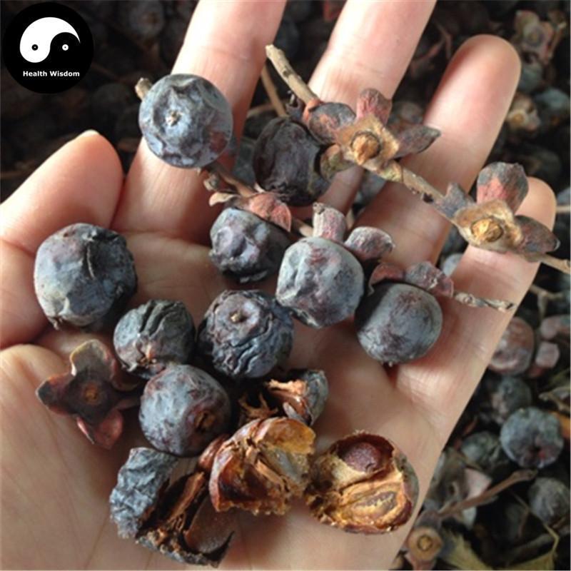 Jun Qian Zi 君迁子, Hei Zao, Diospyros, Ruan Zao, Ye Shi Zi-Health Wisdom™