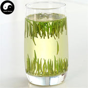 Jun Shan Yin Zhen 君山银针 Yellow Tea Mount Jun Silver Needle-Health Wisdom™