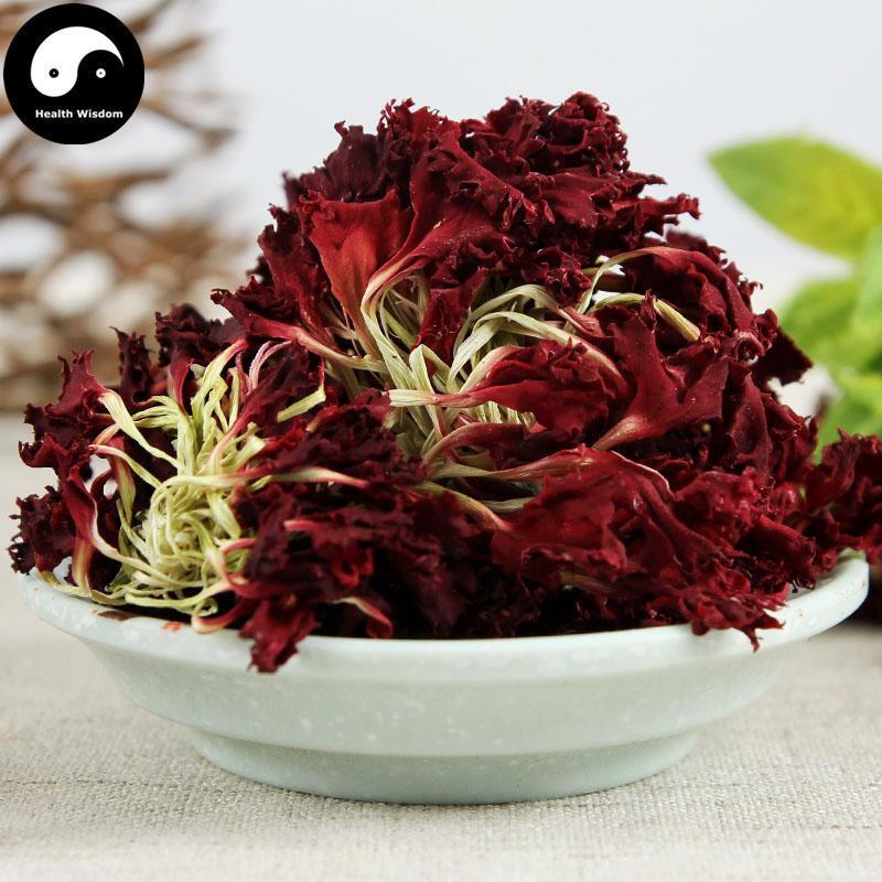 Kang Nai Xin 康乃馨, Carnation Flower, Flos Dianthus Caryophyllus-Health Wisdom™