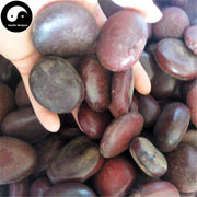 Ke Teng Zi 榼藤子, Entada Phaseoloides, Semen Entadae-Health Wisdom™