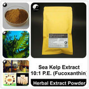 Kelp Extract Powder 10:1, Sea Kelp P.E., Fucoxanthin-Health Wisdom™