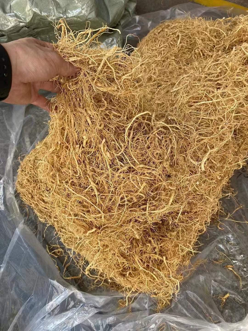 Korean Ginseng End Roots, Red Ginseng Hair Roots, Gao Li Shen 高丽参 Hong Shen Xu 红参须-Health Wisdom™