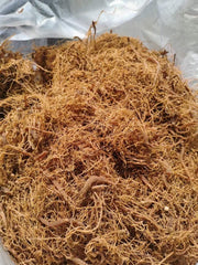 Korean Ginseng End Roots, Red Ginseng Hair Roots, Gao Li Shen 高丽参 Hong Shen Xu 红参须-Health Wisdom™