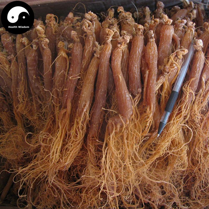 Korean Ginseng Roots, Whole Radix Red Ginseng, Gao Li Shen, 6 Years Hong Shen 红参-Health Wisdom™