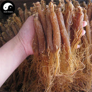 Korean Ginseng Roots, Whole Radix Red Ginseng, Gao Li Shen, 6 Years Hong Shen 红参-Health Wisdom™