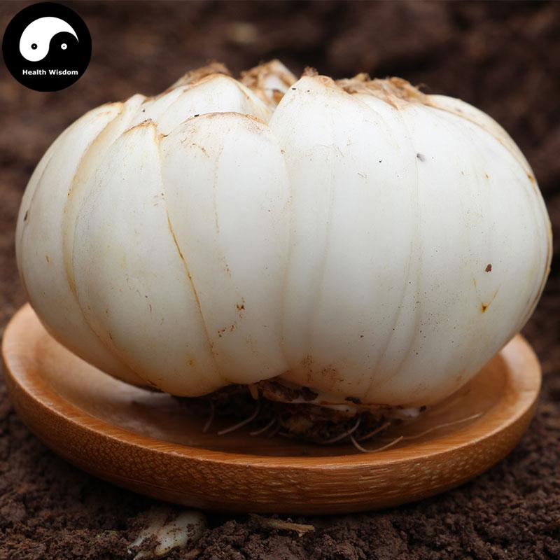Ku Bai He 苦百合, Dried Bitter Bulbus Lilii, Lily Bulb-Health Wisdom™