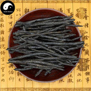 Ku Ding Cha 苦丁茶, Broadleaf Holly Leaf, Folium Llicis Latifoliae, Chinese Holly Leaf Tea-Health Wisdom™