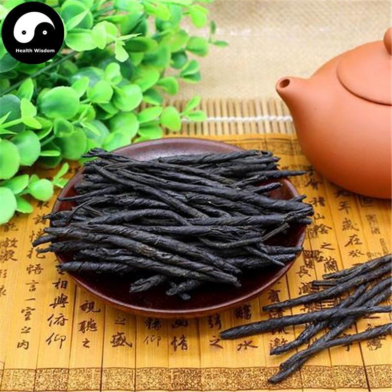 Ku Ding Cha 苦丁茶, Broadleaf Holly Leaf, Folium Llicis Latifoliae, Chinese Holly Leaf Tea-Health Wisdom™