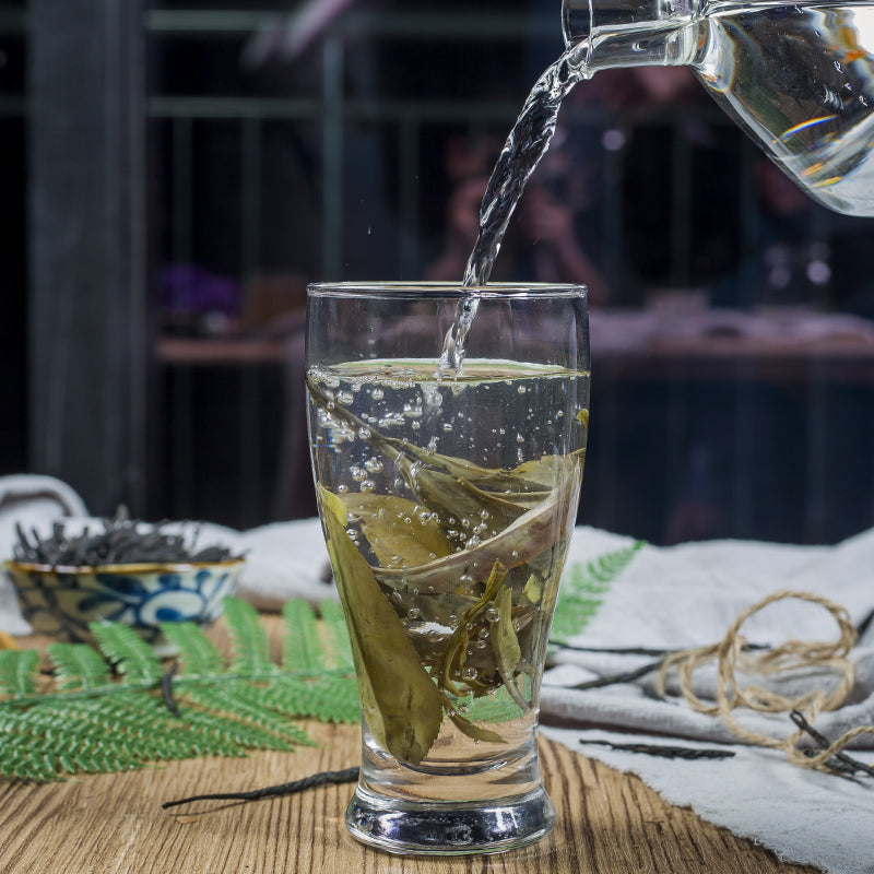 Ku Ding Cha 苦丁茶, Broadleaf Holly Leaf, Folium Llicis Latifoliae, Chinese Holly Leaf Tea-Health Wisdom™