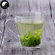 Ku Ding Cha 苦丁茶, Holly Leaf, Folium Llicis Latifoliae, Chinese Holly Leaf Tea-Health Wisdom™