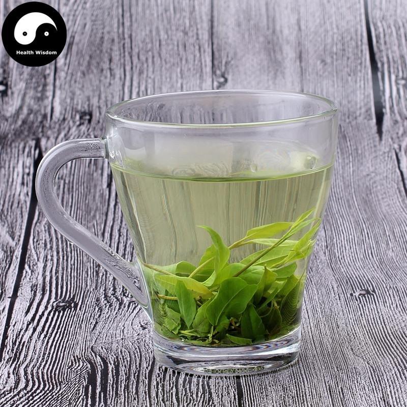 Ku Ding Cha 苦丁茶, Holly Leaf, Folium Llicis Latifoliae, Chinese Holly Leaf Tea-Health Wisdom™