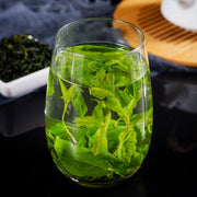 Ku Ding Cha 苦丁茶, Holly Leaf, Folium Llicis Latifoliae, Chinese Holly Leaf Tea-Health Wisdom™